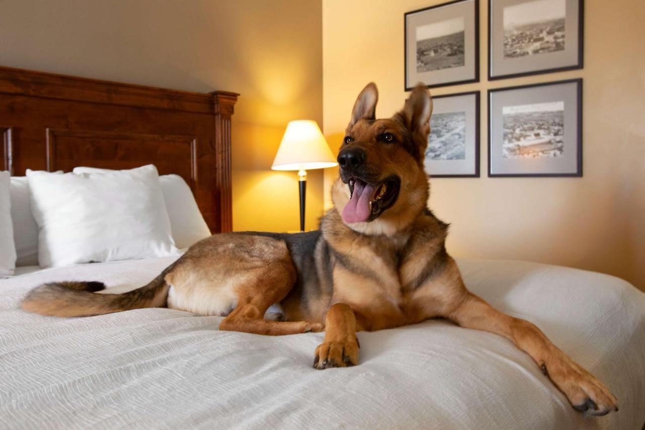 Best Western Plus King'S Inn And Suites Кингман Екстериор снимка
